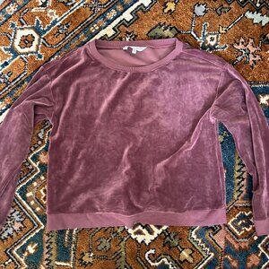 Cupcakes & Cashmere/Anthropologie Velour Sweatshirt